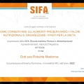 Ingrandire l'immagine: certificate 133