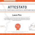 Ingrandire l'immagine: certificate 1