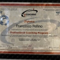 Ingrandire l'immagine: certificate 6