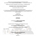 Ingrandire l'immagine: certificate 6