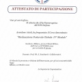 Ingrandire l'immagine: certificate 6