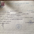 Ingrandire l'immagine: certificate 1