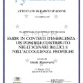 Ingrandire l'immagine: certificate 9