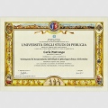 Ingrandire l'immagine: certificate 1