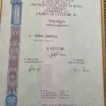 Ingrandire l'immagine: certificate 1