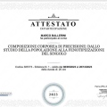 Ingrandire l'immagine: certificate 11