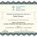 Ingrandire l'immagine: certificate 2