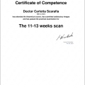 Ingrandire l'immagine: certificate 3
