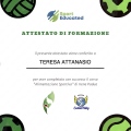 Ingrandire l'immagine: certificate 4