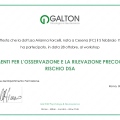 Ingrandire l'immagine: certificate 4