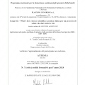 Ingrandire l'immagine: certificate 26