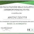 Ingrandire l'immagine: certificate 6