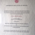 Ingrandire l'immagine: certificate 2
