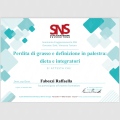 Ingrandire l'immagine: certificate 1