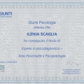 Ingrandire l'immagine: certificate 13