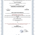 Ingrandire l'immagine: certificate 4