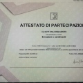 Ingrandire l'immagine: certificate 6