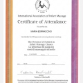 Ingrandire l'immagine: certificate 2