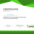 Ingrandire l'immagine: certificate 30