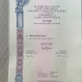 Ingrandire l'immagine: certificate 1