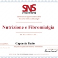 Ingrandire l'immagine: certificate 4
