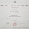 Ingrandire l'immagine: certificate 1