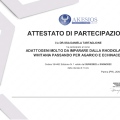 Ingrandire l'immagine: certificate 6