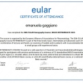 Ingrandire l'immagine: certificate 1