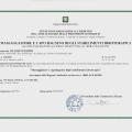Ingrandire l'immagine: certificate 2