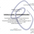 Ingrandire l'immagine: certificate 4