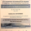 Ingrandire l'immagine: certificate 2