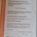 Ingrandire l'immagine: certificate 10