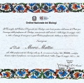 Ingrandire l'immagine: certificate 1