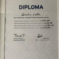 Ingrandire l'immagine: certificate 1