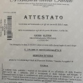 Ingrandire l'immagine: certificate 2