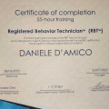 Ingrandire l'immagine: certificate 4