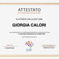 Ingrandire l'immagine: certificate 9