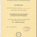 Ingrandire l'immagine: certificate 14