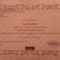 Ingrandire l'immagine: certificate 1