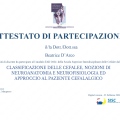 Ingrandire l'immagine: certificate 2