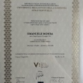 Ingrandire l'immagine: certificate 1
