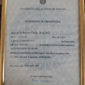 Ingrandire l'immagine: certificate 4