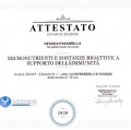 Ingrandire l'immagine: certificate 41