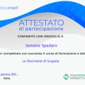 Ingrandire l'immagine: certificate 38