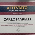 Ingrandire l'immagine: certificate 9