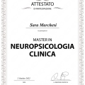 Ingrandire l'immagine: certificate 3