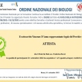 Ingrandire l'immagine: certificate 12