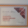 Ingrandire l'immagine: certificate 4