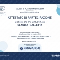 Ingrandire l'immagine: certificate 5