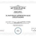 Ingrandire l'immagine: certificate 19